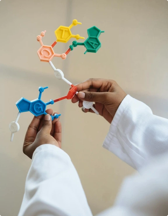 Descrição da imagem